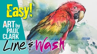 How to Paint a Parrot in Line and Wash - A Step-by-step Guide.