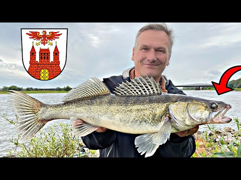 Zanderangeln in Brandenburg 