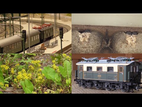 Auwiesen bunt - Stangen E-Loks