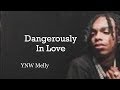 YNW Melly Dangerously In Love Lyrics
