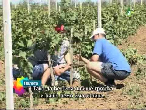 Палета по руски 05.06.2013. - Paleta po ruski 05.06.2013.