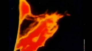 Mike Oldfield - Incantations (part four)