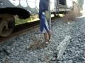 Graffiti Trenes Tram Milk