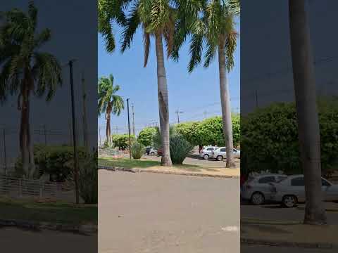 pirangi no Estado de São Paulo.