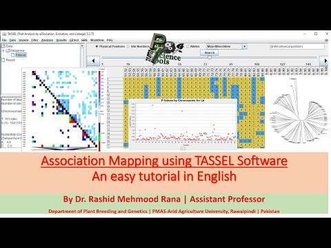 Association Mapping using TASSEL Software | An easy tutorial in English | By Dr Rashid M Rana