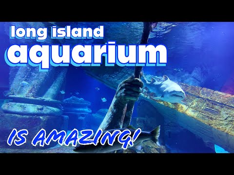 The Amazing Long Island Aquarium! It's Probably the Best Aquarium You've Never Heard Of!