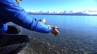 The time we found Valhalla on the other side of the world