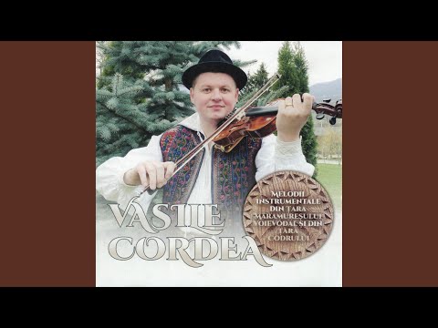 Invartita de pe Valea Viseului