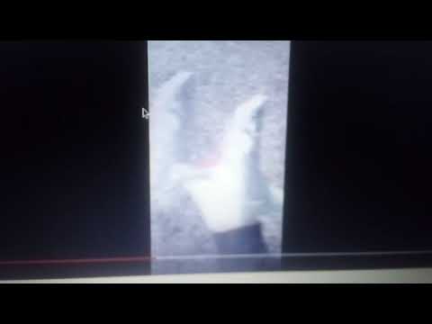 Beauty and the Warner Bros pictures part 23 castle under attack