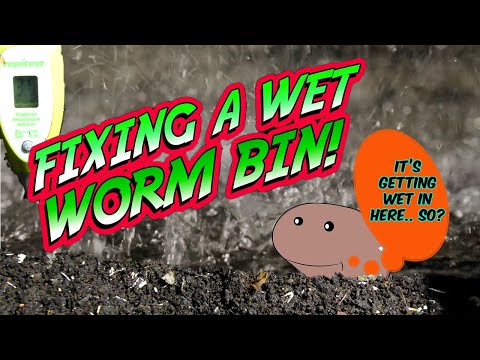 Worm Bin Woes: BALANCING MOISTURE in VERMICOMPOSTING