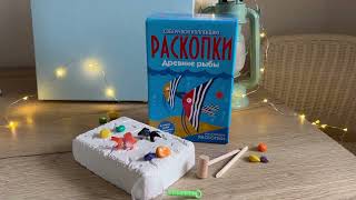 Большой набор для проведения раскопок Рыбы 