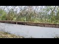 Dheere Dheere Naino Ko Dheere Dheere Saibo WhatsApp Status
