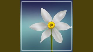 Download lagu I ONE I REE mp3