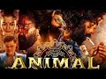 ANIMAL Full Movie In Hindi Ranbir Kapoor Rashmika M Anil K Bobby D Bhushan K Review Facts