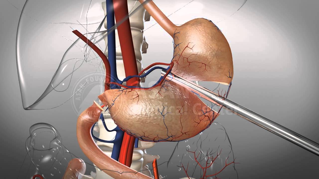Guillermo F. Verasay-1