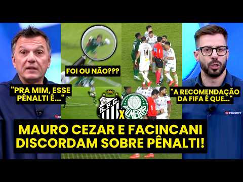 FOI PÊNALTI? “Com TODO O RESPEITO, esse LANCE pra mim…” POLÊMICA em SANTOS x PALMEIRAS GERA DEBATE