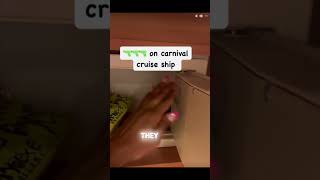 Woman Brings Gun on Cruise Ship! #news #cruiselife  #shorts #cruiseaddict