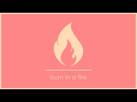 The Taxman - Burn in a Fire (Lyric Video)