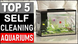 Top 5 Best Self Cleaning Aquariums in 2025
