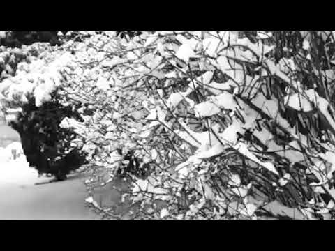 Philip Solo X Golden BSP - Snowblind (Official Audio)