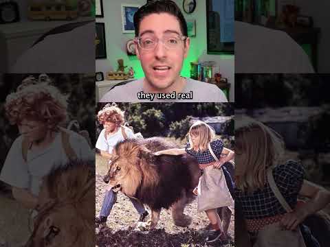 Jodie Foster was mauled by a lion