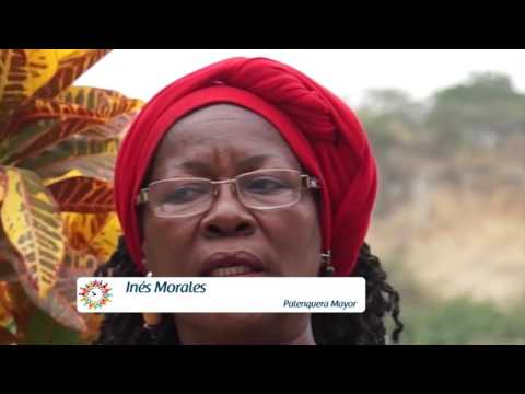 Reportaje - Pueblo Afroecuatoriano