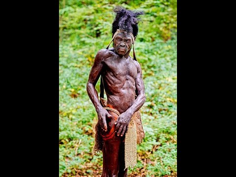 The Most Highly Advanced Human Species Cro-Magnons