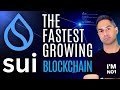 WHAT IS SUI | SUI Network - THE FASTEST GROWING BLOCKCHAIN IN 2024 | SUI vs Ethereum & Solana