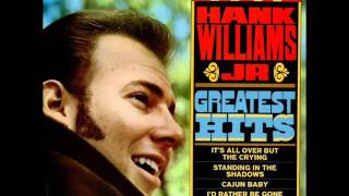 Hank Williams Jr - Homesick