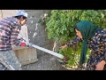 Miraculous Last Minute Rescue I Saved Goli From A Poisonous Snake Bite