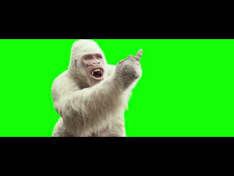 George Shows Middle Finger to The Rock meme - Rampage movie (Green Screen Memes) 🟢