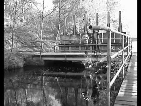 ROCKSKOLAN - A TRAGIC STORY