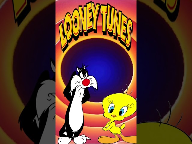 Vídeo relacionado con Blue Sky Studios Looney Tunes - Bote de lápices 3D Tweety Pie