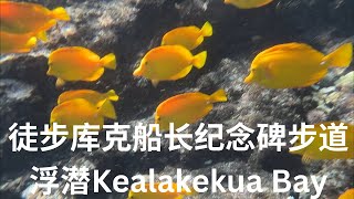 Kealakekua Bay 徒步和浮潜 夏威夷大岛第二天 2024Nov22