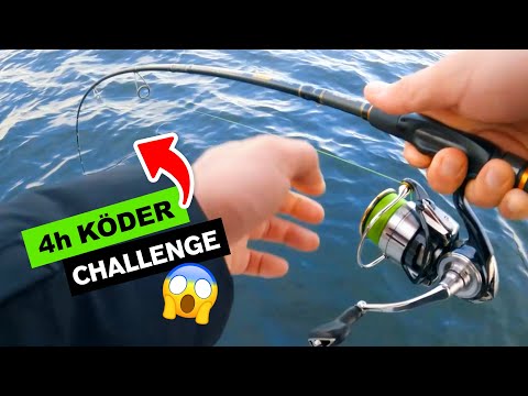 Hechtangeln im Winter – Was fangen wir in 4 Stunden? 😱