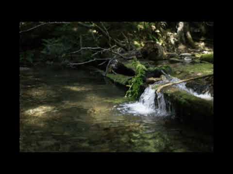 Relaxing music of nature