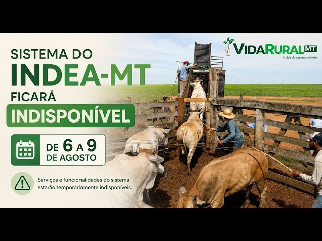 SISTEMA DO INDEA-MT FICARÁ INDISPONÍVEL DE 6 A 9 DE AGOSTO