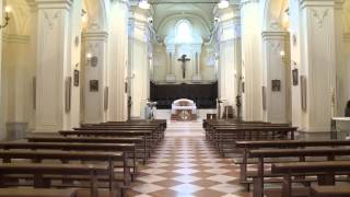 preview picture of video 'LA CATTEDRALE ED IL TERREMOTO/ La cattedrale di Sant'Angelo dei Lombardi/ TD'I Ch.97'