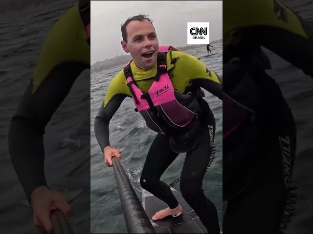 Tubarão persegue surfista por mais de 3 km na Califórnia
