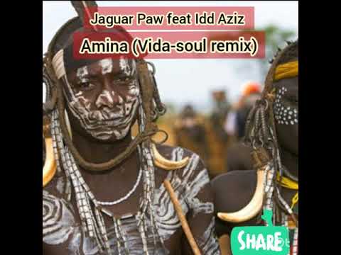 Jaguar Paw feat Idd Aziz - Amina (Vida-soul remix)