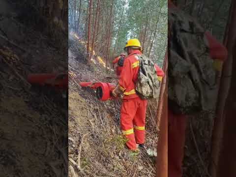 Extinguish wildfires