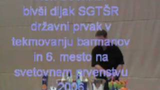 preview picture of video 'Rok dobnikar- informativni dan 13., 14. februar 2009 - SGTŠ Radovljica'