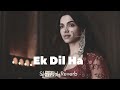 Ek Dil Ek Jaan  Video Song |  lofi song | Ek dil ek jaan lofi song |