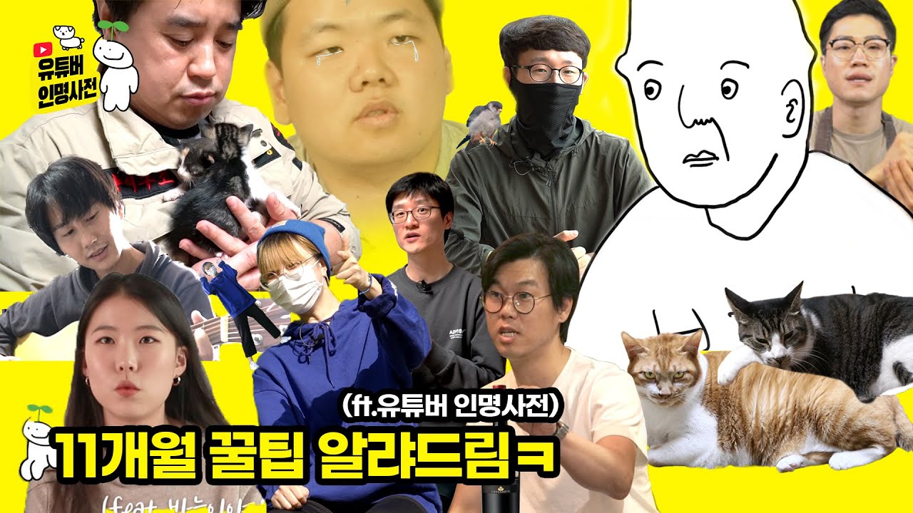 유튜브 약 1년 해보고 깨달은 꿀팁 공개(ft.유튜버 인명사전)