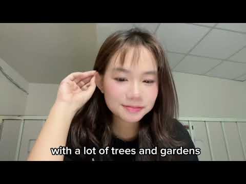 𝙼𝚢 𝙽𝚎𝚒𝚐𝚑𝚋𝚘𝚛𝚑𝚘𝚘𝚍 - 𝙼𝚢 𝚂𝚝𝚛𝚎𝚎𝚝, 𝙼𝚢 𝚂𝚝𝚘𝚛𝚢 ⋆˙⟡ (𝙼𝚢 𝙽𝚎𝚒𝚐𝚑𝚋𝚘𝚛𝚑𝚘𝚘𝚍 - 𝙼𝚢 𝚂𝚝𝚛𝚎𝚎𝚝, 𝙼𝚢 𝚂𝚝𝚘𝚛𝚢 ⋆˙⟡)