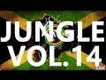 DRUM AND BASS - REGGAE MiX {VOL.14} (by ...