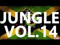 DRUM AND BASS MIX - REGGAE RAGGA JUNGLE ...