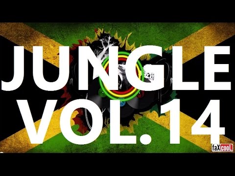 DRUM AND BASS - REGGAE MiX {VOL.14} (by faXcooL)