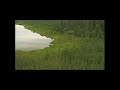 BEYOND THE RAIN - PAT SURFACE