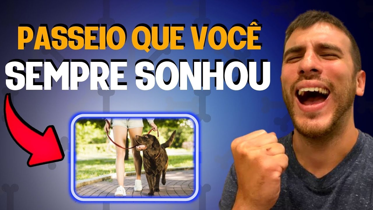 Como Fazer o Cão Parar De Puxar a Guia no Passeio Em 5 Minutos